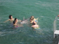 nadando con los delfines